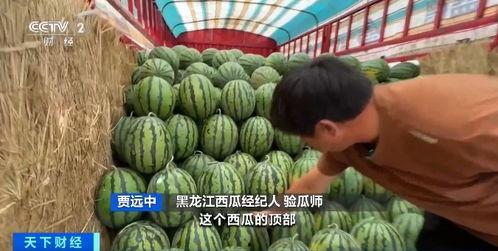 吴柳芳吃瓜,揭秘娱乐圈幕后故事