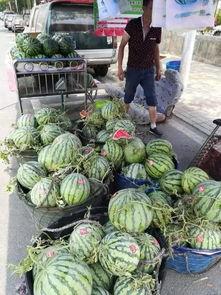 肇庆工商吃瓜事件,一场网络舆论的风暴与反思