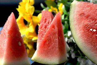 月经来了可以吃葵瓜,葵瓜助力女性健康调理