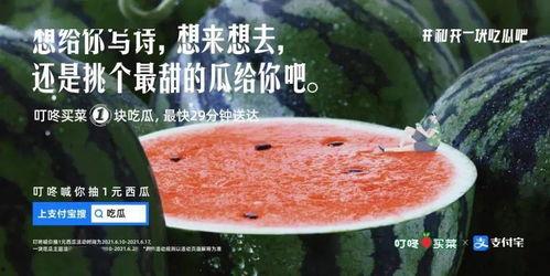 晚上吃瓜文案,揭秘晚间吃瓜的快乐时光