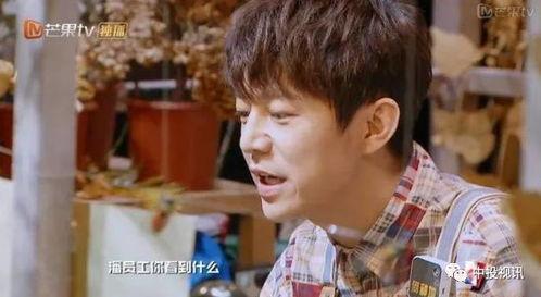 吃瓜明星大侦探搞笑,明星大侦探的欢乐侦探之旅