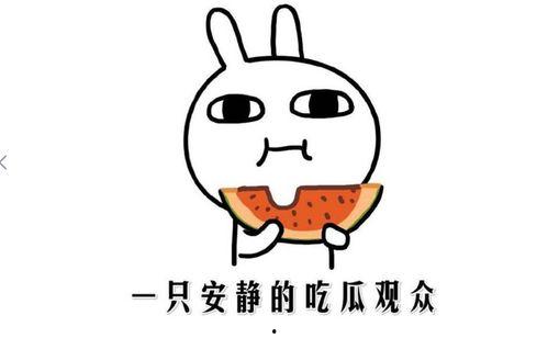 网上抖音吃瓜,揭秘网络热点背后的故事